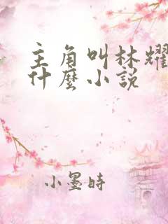 主角叫林耀的是什么小说