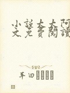 小说太太阿姨全文免费阅读