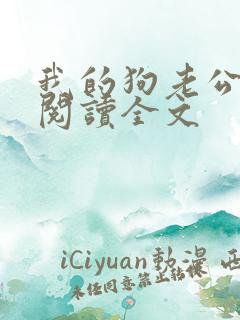 我的狗老公免费阅读全文