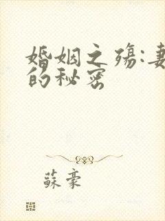 婚姻之殇:妻子的秘密