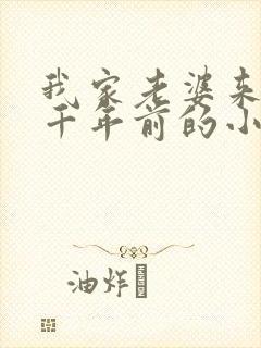 我家老婆来自一千年前的小说