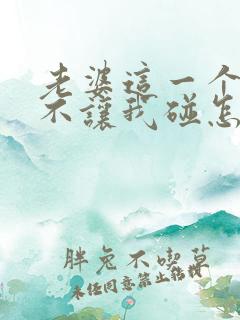 老婆这一个月都不让我碰怎么办