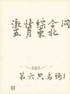 激情综合网激情五月东北