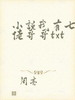 小说我有七个大佬哥哥txt