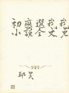 初恋选我我超甜小说全文免费阅读