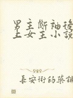 男主断袖后来爱上女主小说