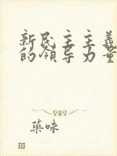 新民主主义革命的领导力量是( )