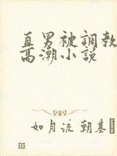 直男被调教玩弄高潮小说