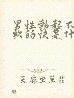 男性勃起不够硬软的快是什么原因