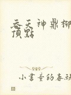 吞天神鼎柳无邪顶点