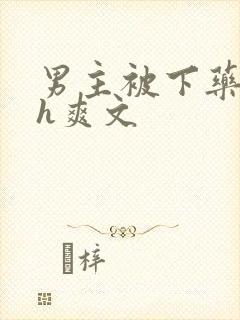 男主被下药后高h爽文