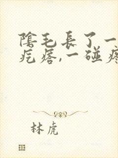 阴毛长了一个硬疙瘩,一碰疼