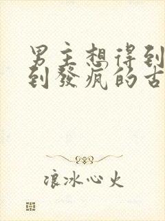 男主想得到女主到发疯的古言