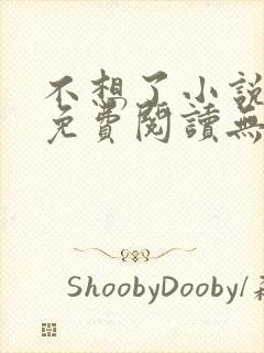 不想了小说全文免费阅读无弹窗