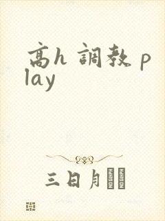 高h 调教 play
