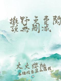 撒野免费阅读小说无删减