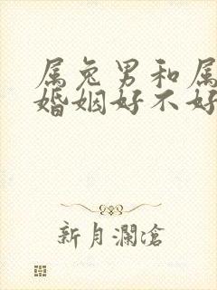 属兔男和属龙女婚姻好不好