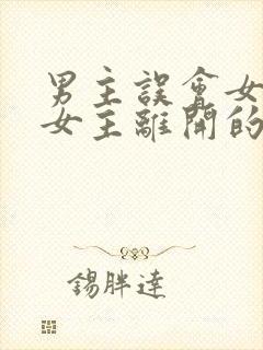 男主误会女主,女主离开的小说