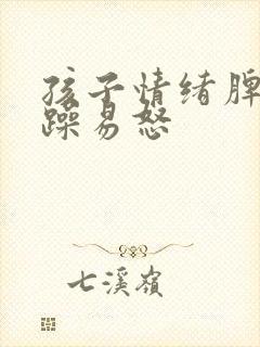 孩子情绪脾气暴躁易怒