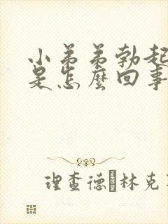 小弟弟勃起无力是怎么回事