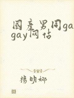 国产男同gaygay网站
