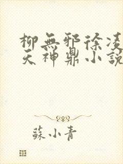 柳无邪徐凌雪吞天神鼎小说
