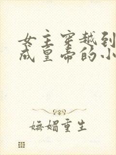 女主穿越到古代成皇帝的小说