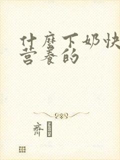 什么下奶快又有营养的