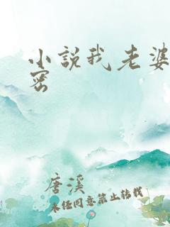 小说我老婆的秘密