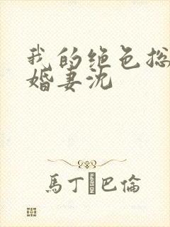 我的绝色总裁未婚妻沈