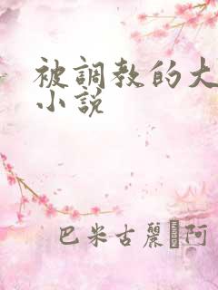 被调教的大小姐小说