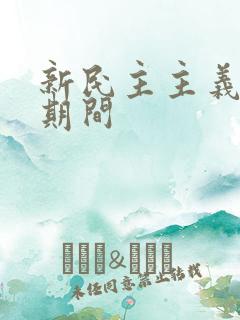 新民主主义革命期间