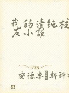 我的清纯校花女友小说
