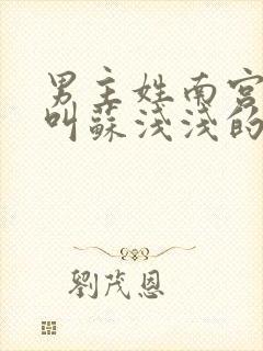 男主姓南宫女主叫苏浅浅的小说