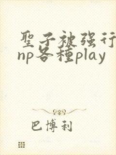 圣子被强行糟蹋np各种play