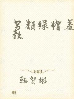 另类绿帽羞辱调教