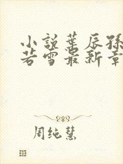 小说叶辰孙怡夏若雪最新章节阅读