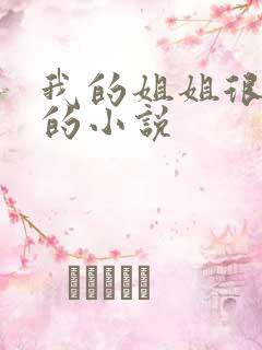 我的姐姐很弟控的小说