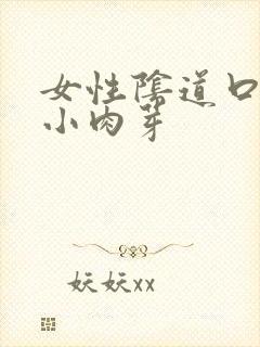 女性阴道口里面小肉芽