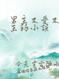 男主又爱又恨女主的小说