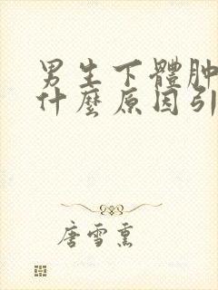 男生下体肿了是什么原因引起的呢