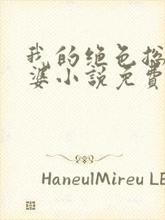 我的绝色总裁老婆小说免费阅读