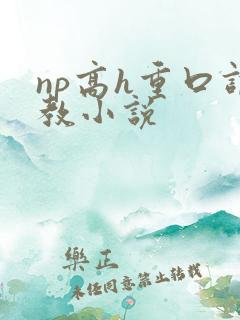 np高h重口调教小说