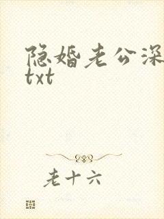 隐婚老公深夜来txt
