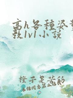 高h各种姿势调教1v1小说