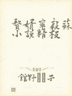 赘婿宁毅苏檀儿小说精校