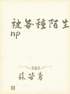 被各种陌生人 np