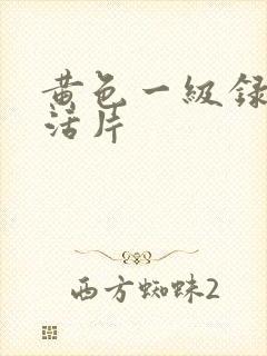 黄色一级录像生活片