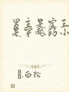 男主是宸王女主是穿越的小说