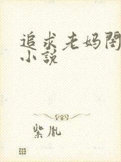 追求老妈闺蜜的小说